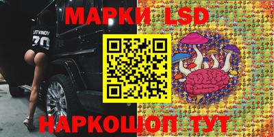 кокс Камышлов