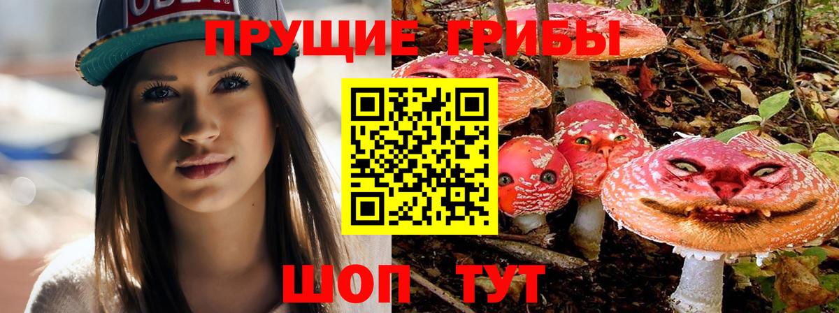 Галлюциногенные грибы Cubensis Кстово