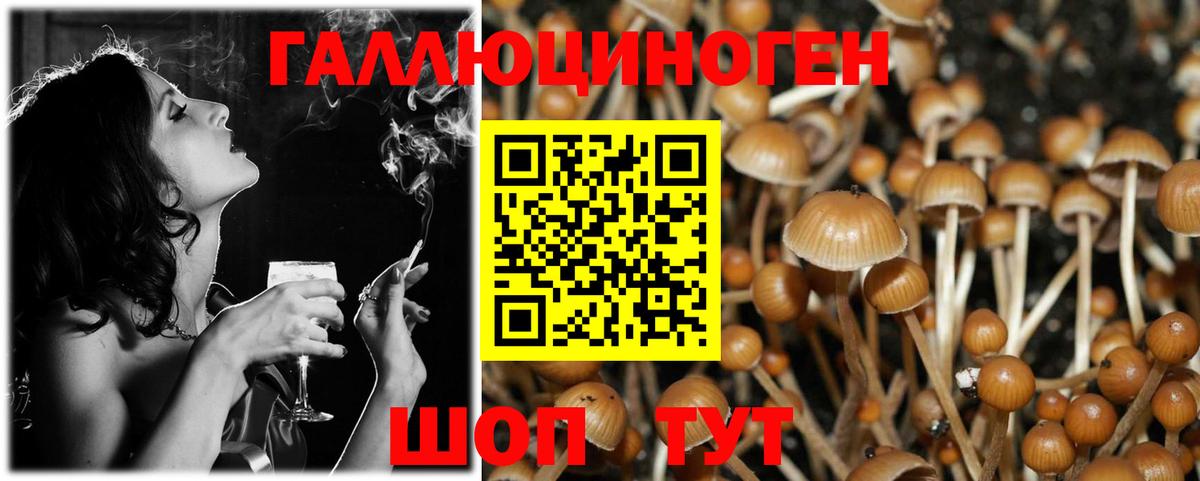 Кстово  Галлюциногенные грибы Psilocybe  Вход с VPN 